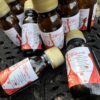 Premium Iron Plus Tonic x 30 Shots ‘on the go wellness’ (460ml) - Image 2